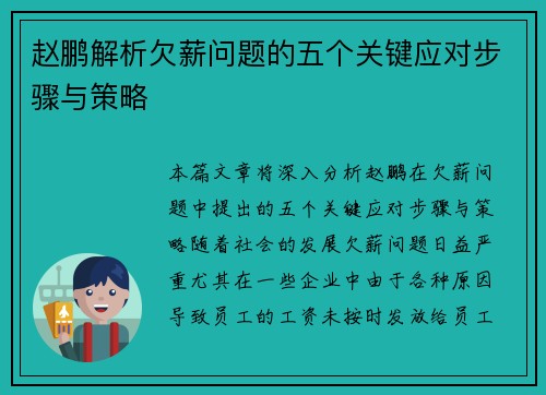 赵鹏解析欠薪问题的五个关键应对步骤与策略